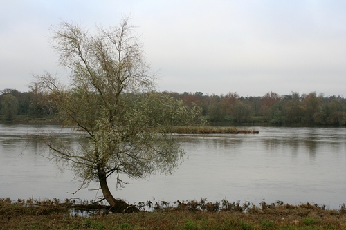 River Loire in Gien (Loiret, France)