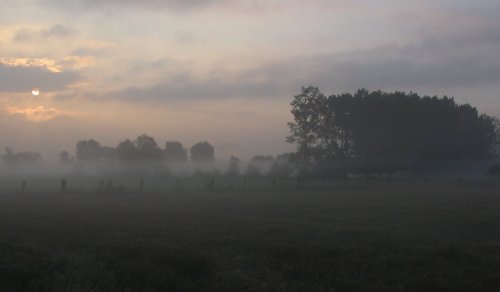 Early Morning in the Marais-Vernier (France)